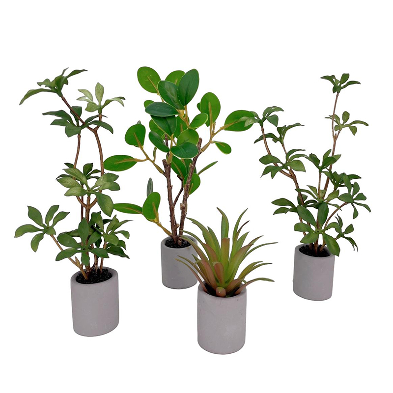 Bonsai Garden Ornaments - 1:6 Evcilik Minyatür Saksı Bitki Yeşil
