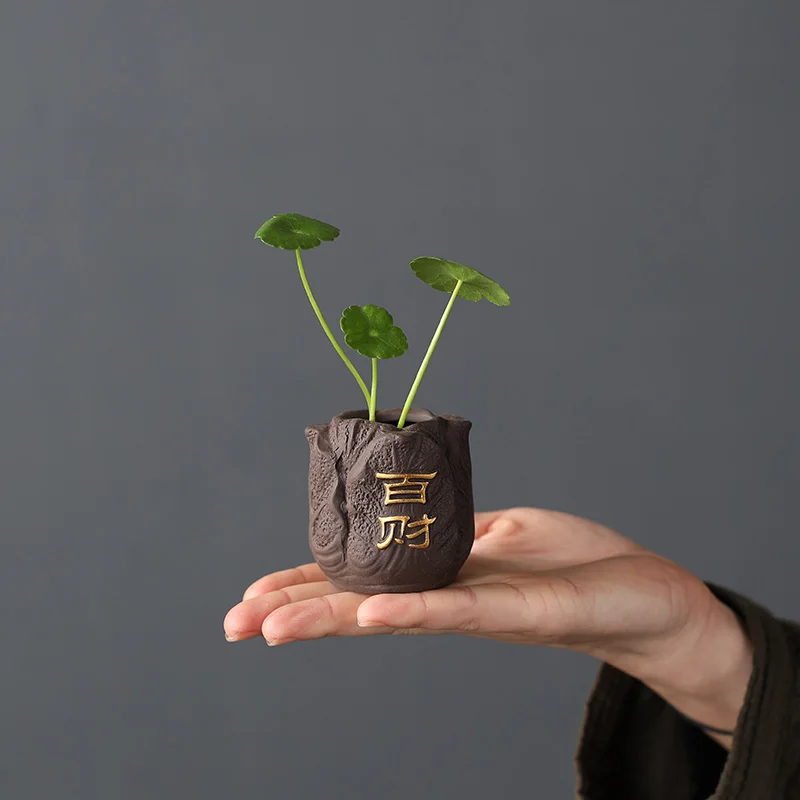 Yaratıcı mor kil çay Pet parma - Bonsai Garden Ornaments incelemesi ve fiyatı