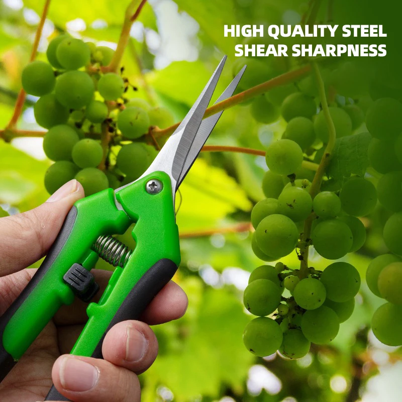 7 İnç Bitki Budama Makası, Bon - Bonsai Garden Tools incelemesi ve fiyatı