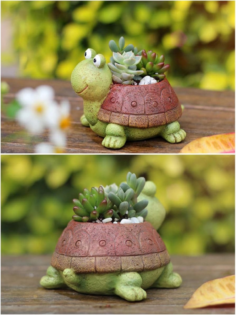 Sevimli kaplumbağa ekici etli  - Bonsai Garden Gift incelemesi ve fiyatı