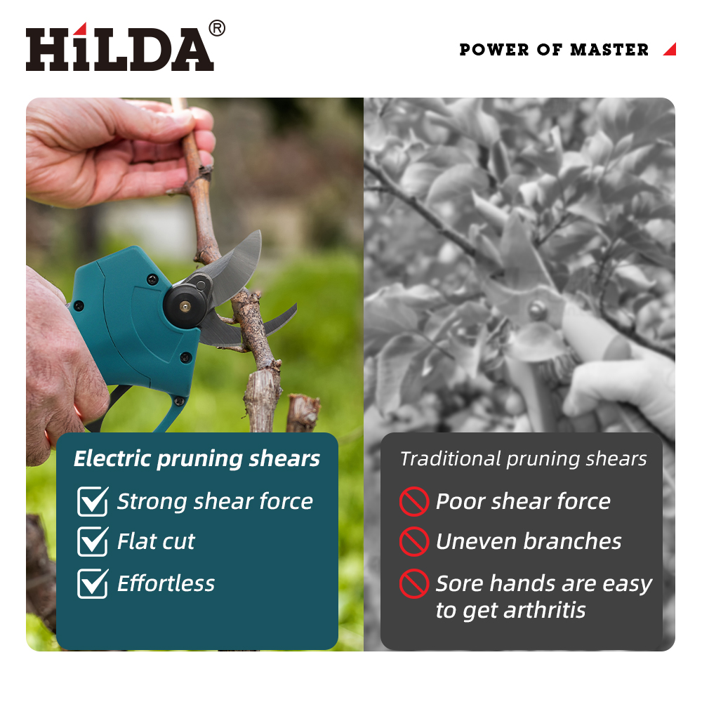HILDA 18V Fırçasız Akülü Elekt - Bonsai Garden Tree incelemesi ve fiyatı