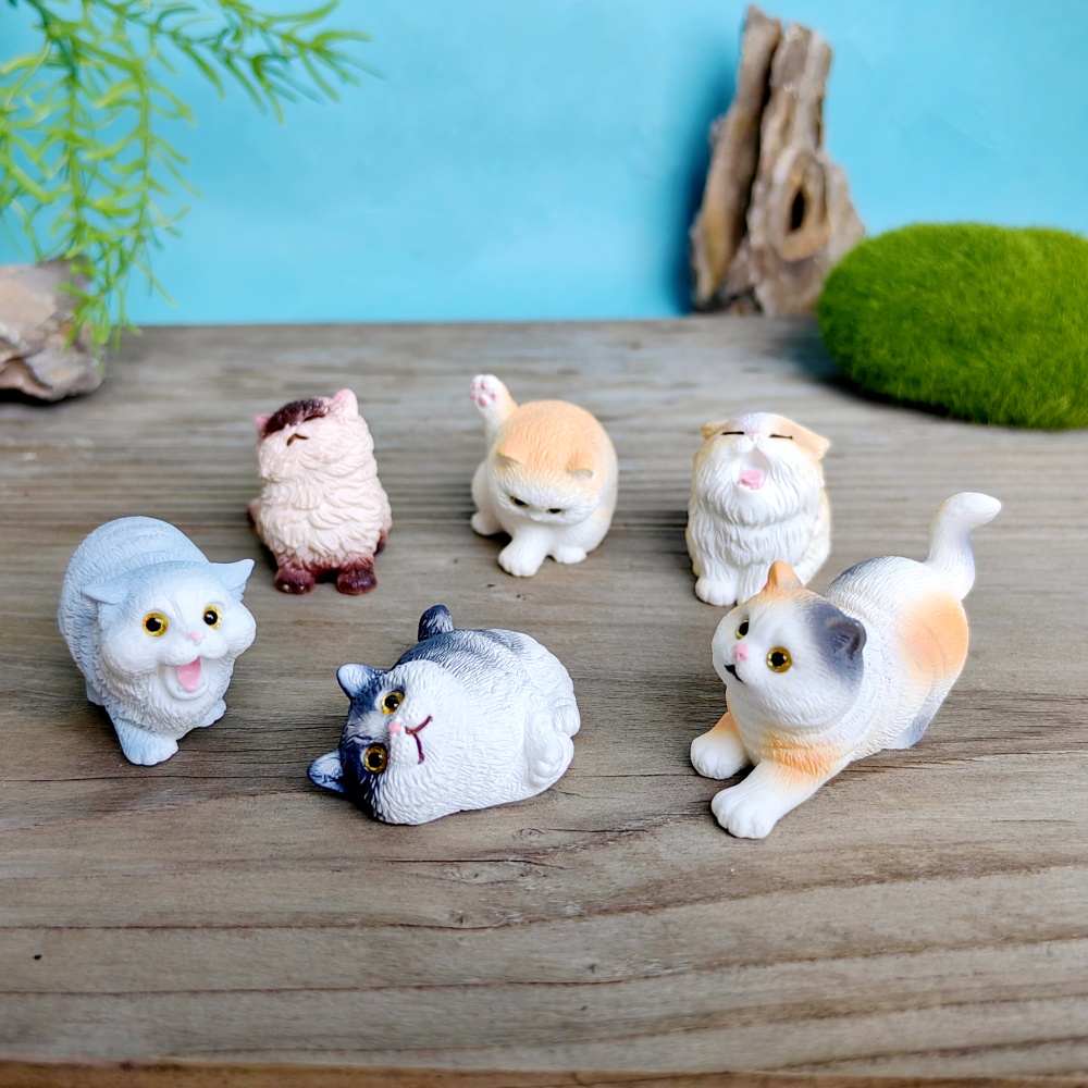 6 adet sevimli kedi köpek seti - Bonsai Garden Gift incelemesi ve fiyatı