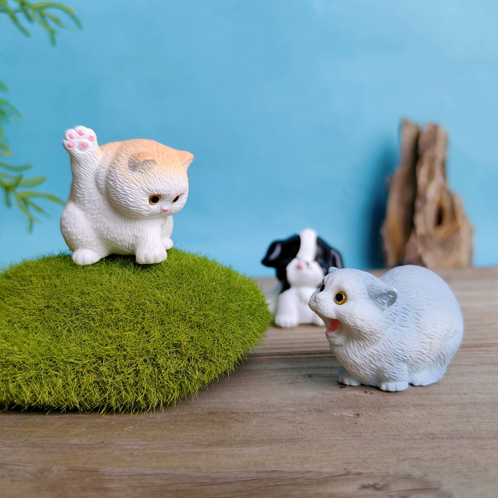6 adet sevimli kedi köpek seti - Bonsai Garden Gift incelemesi ve fiyatı