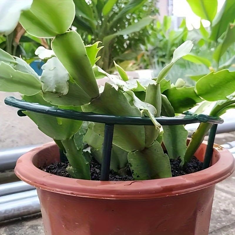 30-1 adet plastik bitki desteğ - Bonsai Garden Tools incelemesi ve fiyatı