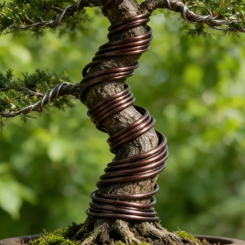 5 M Bonsai Eğitim Teli Seti, B - Bonsai Garden Tools incelemesi ve fiyatı