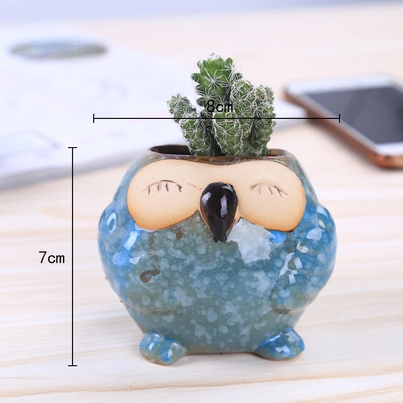 Mini Seramik Baykuş Sukulent S - Bonsai Garden Gift incelemesi ve fiyatı